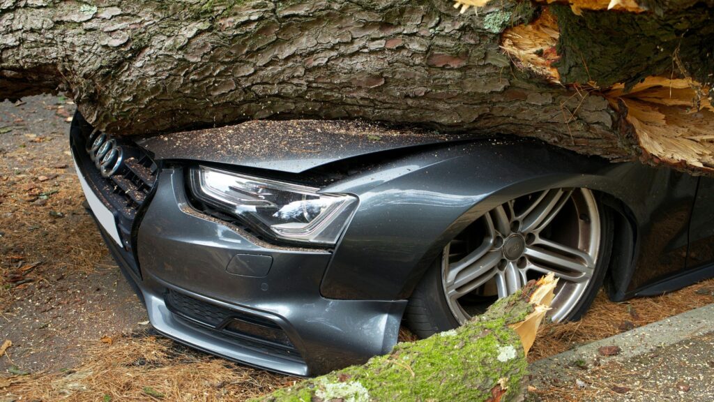 Will My Homeowners Insurance Cover Preventative Tree Removal